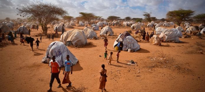 First Person: The Somali refugees planting a new life in the United States
