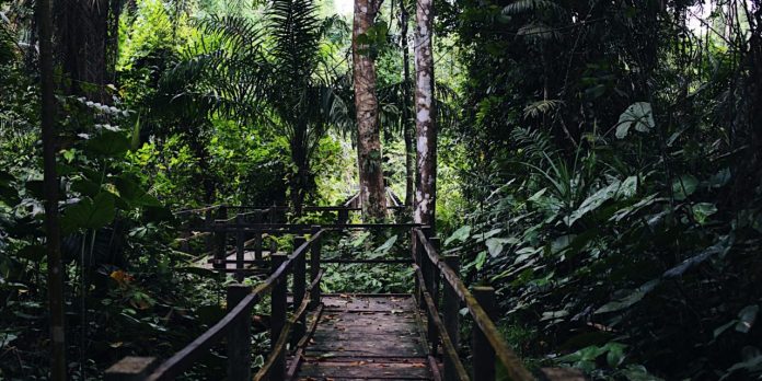 Finima Nature Park