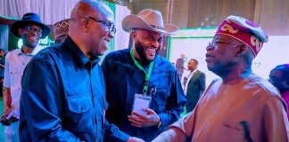 Feature: Peter Obi should be a member of the National Economic Council
