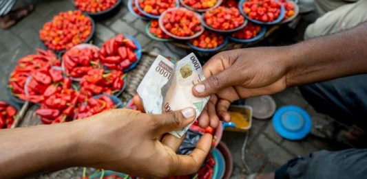 Feature- The Unsung Lifeline in Nigeria’s Food Inflation Crisis