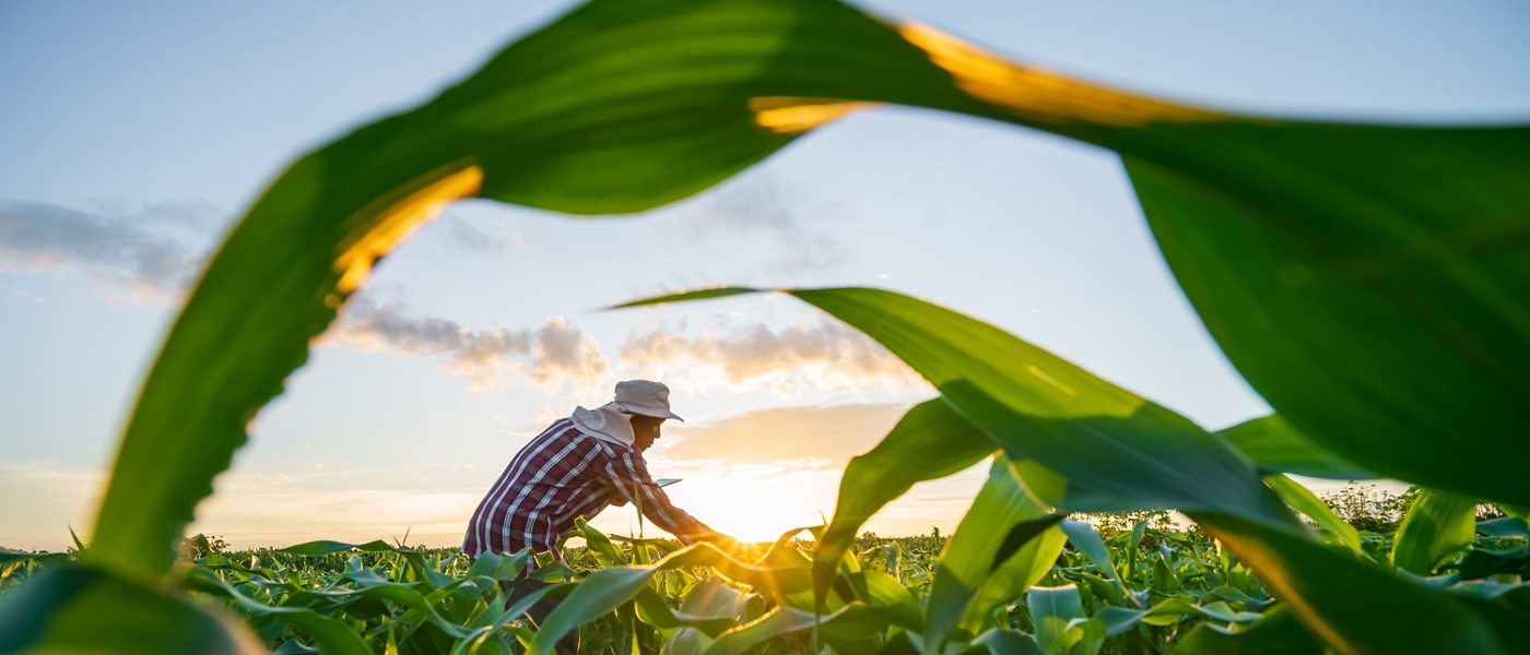 MIGA and BOAD to Expand Climate Finance in West Africa