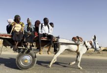 Film Africa 2025 celebrates the best of African cinema across the continent (14 – 23 Nov)