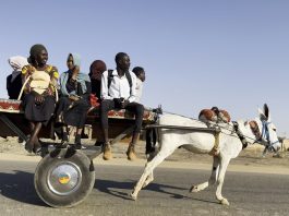 Film Africa 2025 celebrates the best of African cinema across the continent (14 – 23 Nov)