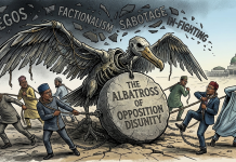 Feature: The Albatross of Opposition Disunity
