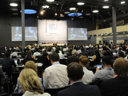 Clean Electricity, Waste and Construction Set to Top COP31 Agenda