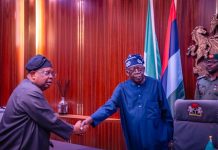 Nigerians Will Continue to See Visible Improvements in Power Supply — Minister Tegbe