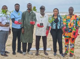 NNPC/FIRST E&P JV Reaches Major ALEC Milestone, Begins Transplantation of 100,000 Indigenous Trees