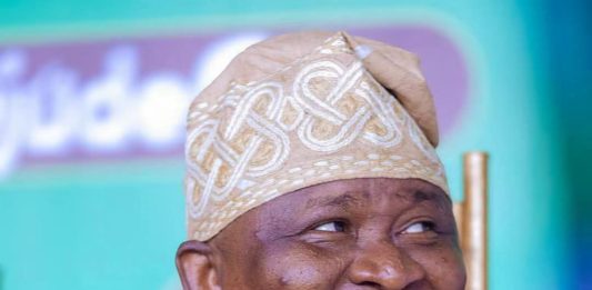 Group Dismisses Claims of Division, Backs Senator Adeola YAYI’s Governorship Bid