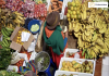 Nigeria – Headline Inflation Ease Marginally to 15.91%