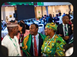 Nigeria leads call for African solidarity as global telecommunications elections approach