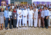 Nigeria Must Build, Not Just Buy, Clean Energy Technologies – NASENI EVC