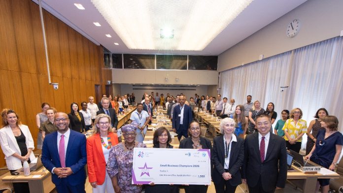 WTO MSME Group