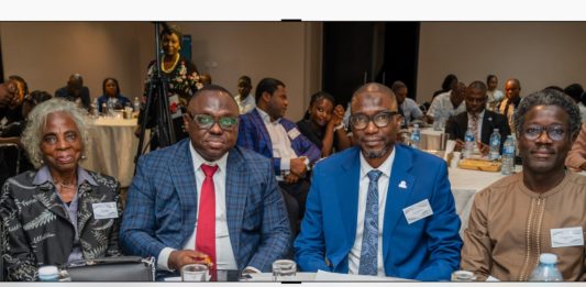 Lagos Energy Reforms to Transform Facility Management Practice, Drive Sustainable Growth