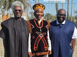 APRA Re-elects Karani, Mekeme and Ibietan into the Executive Council