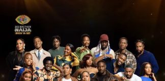 BBNaija Season 11 Voting Guide: How to Register, Vote and Earn Bonus Votes