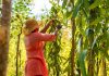 How Temu Helped a Madagascan Vanilla Family Business Sell Direct to Consumers Across Europe