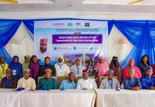 NASENI Demonstrates Solar Irrigation System Benefits to Kano Farmers