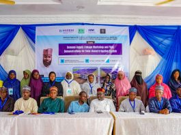 NASENI Demonstrates Solar Irrigation System Benefits to Kano Farmers