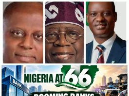 Feature- Nigeria @66: Booming Banks, Struggling Nation, Where Is the Promised Prosperity?