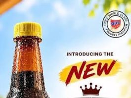 Rite Foods Unveils LIDA Malt Beverage Drink Brand, distinctively “Made for You”